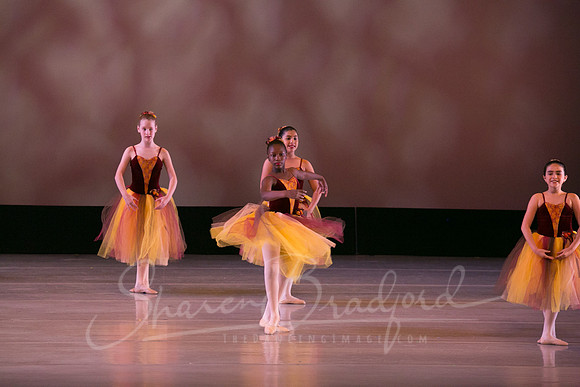 Autumn Leaves-4202