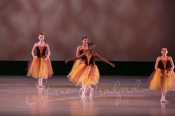 Autumn Leaves-4203