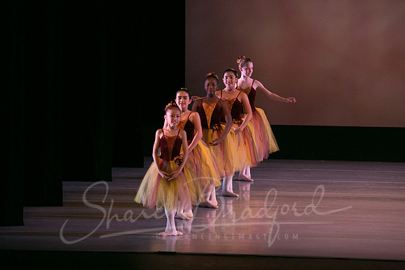 Autumn Leaves-4211