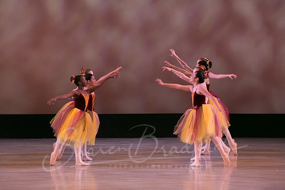 Autumn Leaves-4216
