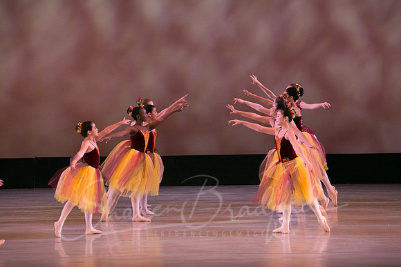 Autumn Leaves-4217
