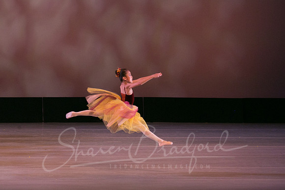 Autumn Leaves-4220