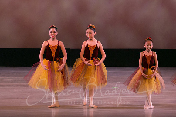 Autumn Leaves-4243