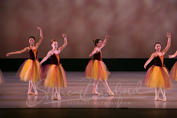Autumn Leaves-4252