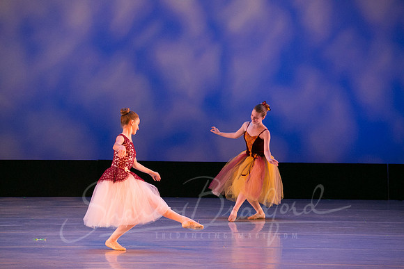 Autumn Leaves-4284