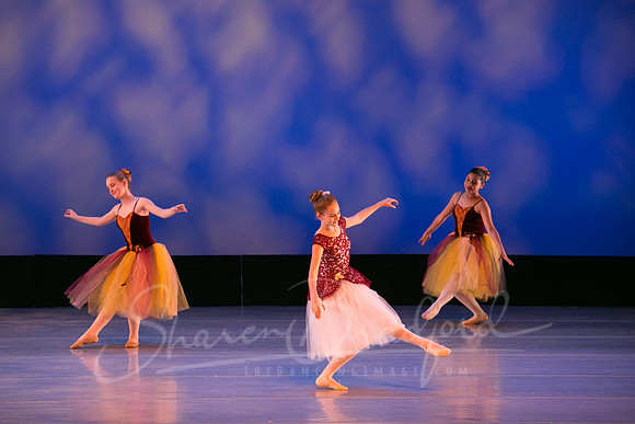 Autumn Leaves-4285