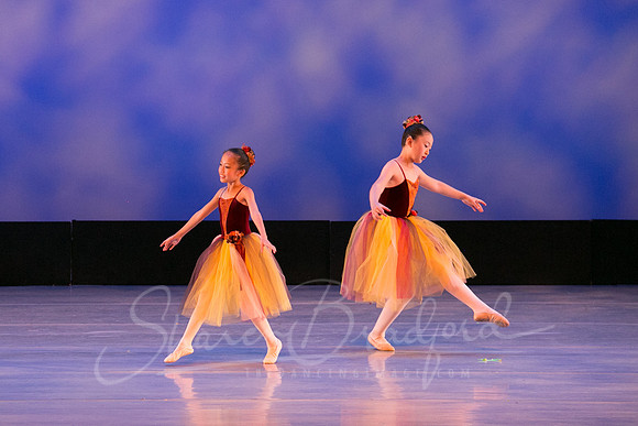Autumn Leaves-4292