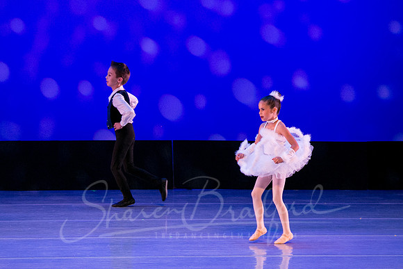 Winter Flurry-4677
