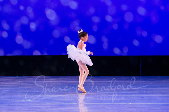 Winter Flurry-4680