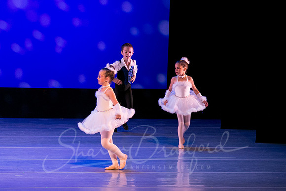 Winter Flurry-4685