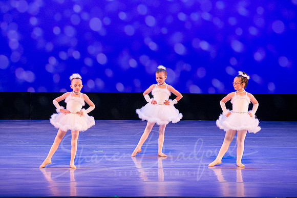 Winter Flurry-4689