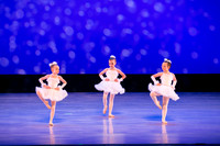 Winter Flurry-4691