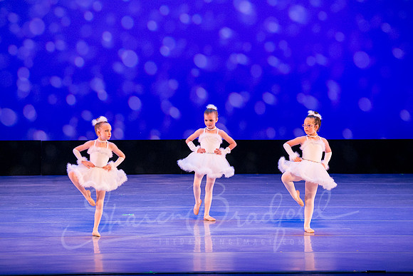 Winter Flurry-4691