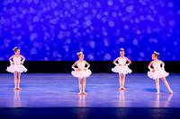 Winter Flurry-4697