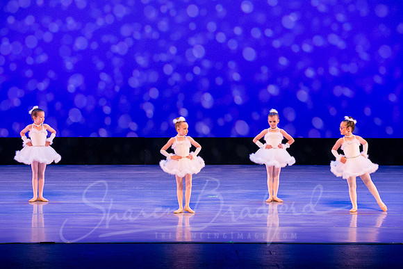 Winter Flurry-4697