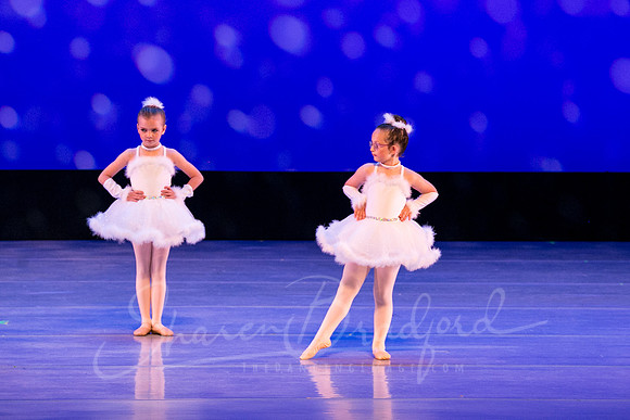 Winter Flurry-4701