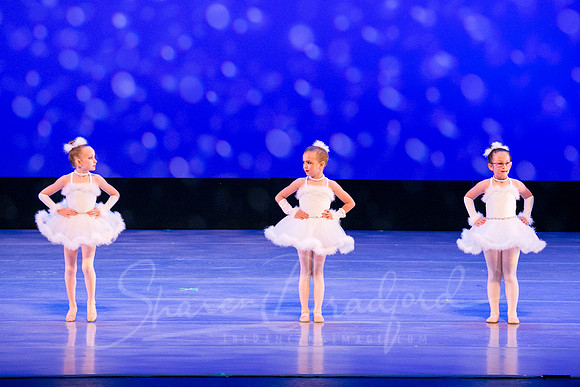 Winter Flurry-4712