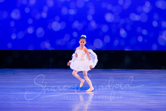 Winter Flurry-4716