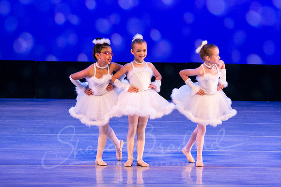 Winter Flurry-4727