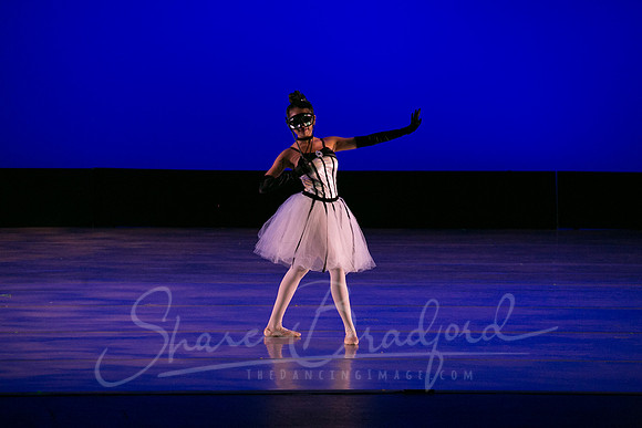 Midnight Masquerade-4988