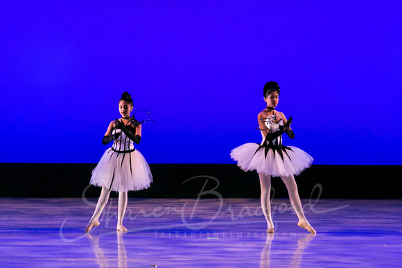 Midnight Masquerade-5008
