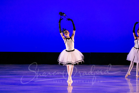 Midnight Masquerade-5013