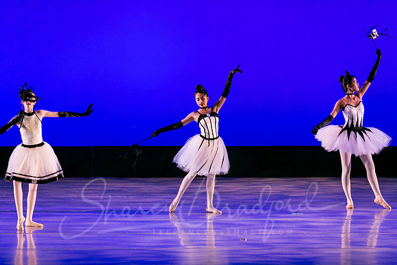 Midnight Masquerade-5017