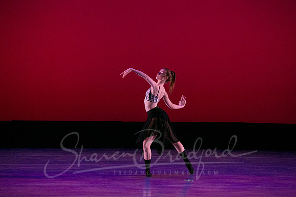 New Beginning - Cailey Schafer-5815