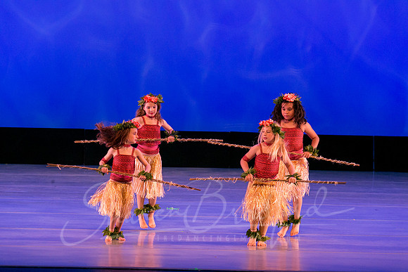 Moana-6431