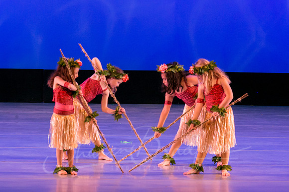 Moana-6443