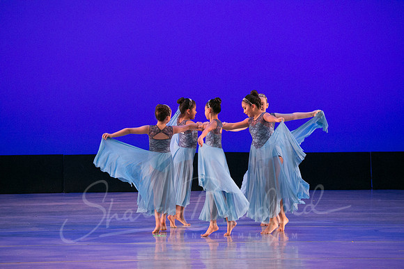 Calm Blue Flower-6774