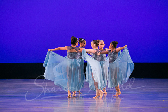 Calm Blue Flower-6776
