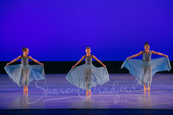 Calm Blue Flower-6780