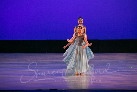 Calm Blue Flower-6804