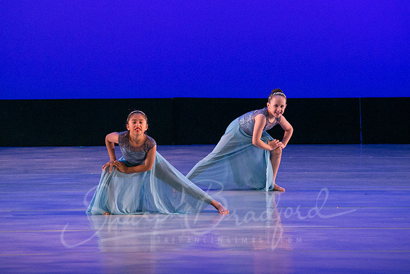 Calm Blue Flower-6808