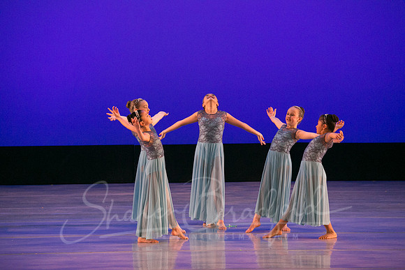 Calm Blue Flower-6811