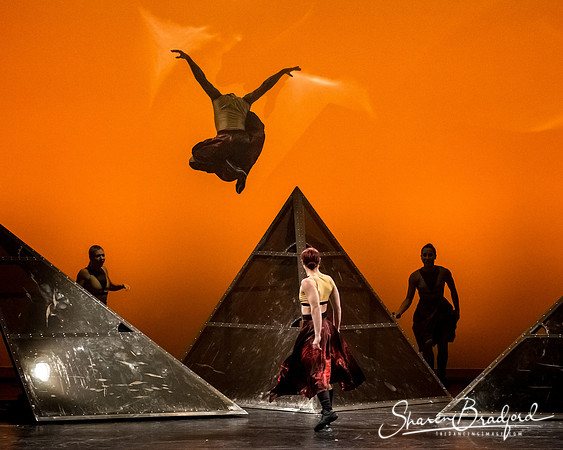 DIAVOLO - Voyage pc Sharen Bradford-0235