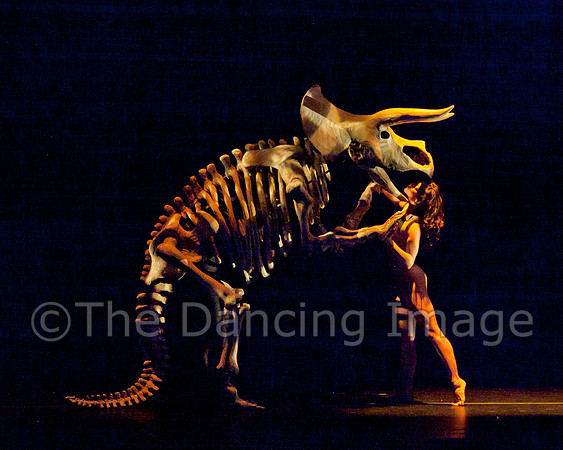 Botanica-0224