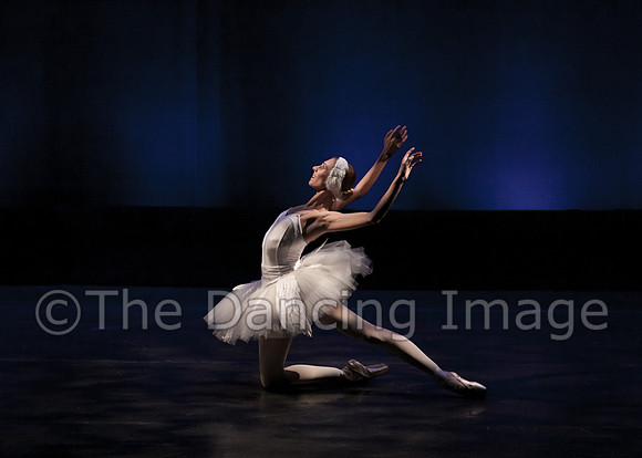 Dying Swan_0337