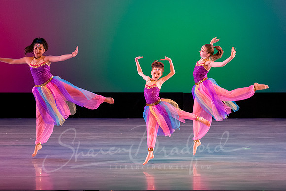 Aladdin-2291
