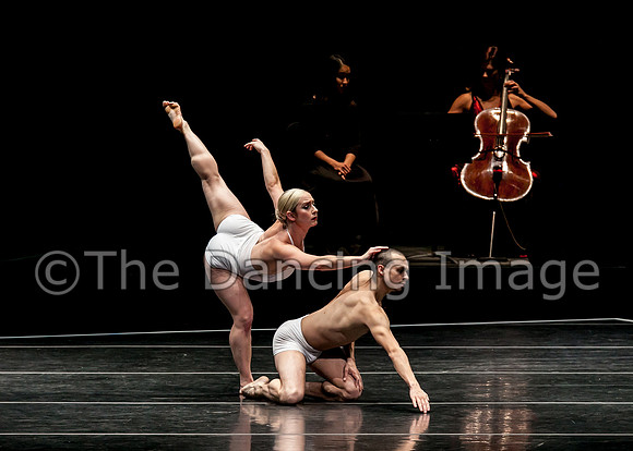 Spectrum Dance - LOVE-0559