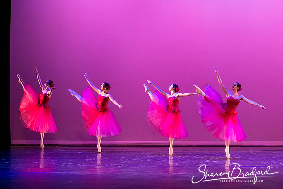 Waltz of the Flowers pc Sharen Bradford-2788