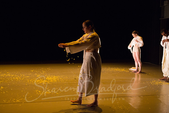 DCCD Yellow - pc Sharen Bradford-0080