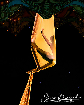Nutcracker eve pc Sharen Bradford-7051