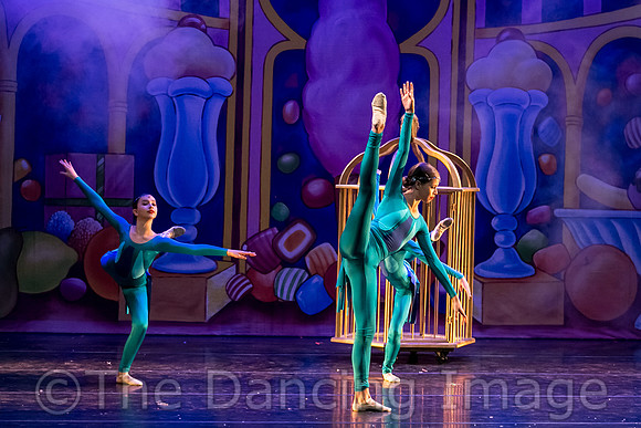 Royale Ballet Nutcracker-1786