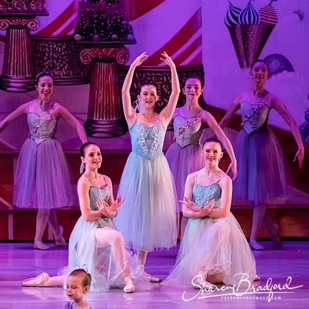 CCBT Nutcracker 19 pc Sharen Bradford-5328