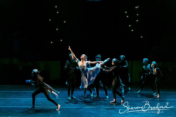 Battle Scene pc Sharen Bradford-0601