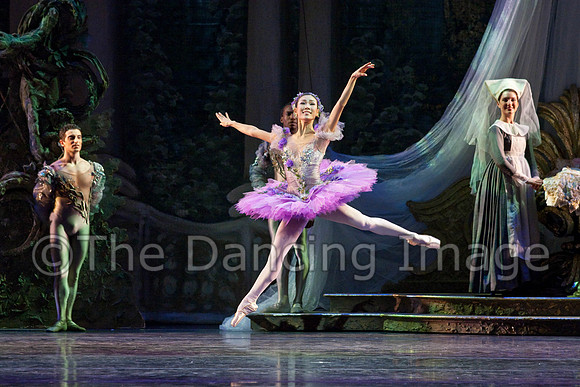 TB Sleeping Beauty Wed.-0077