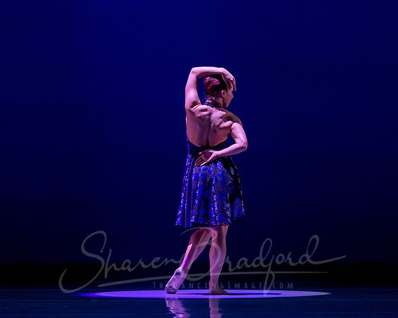 Rhapsody in Blue pc Sharen Bradford-4331