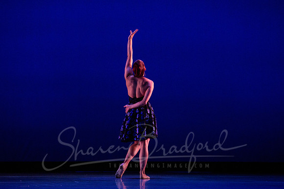 Rhapsody in Blue pc Sharen Bradford-4333